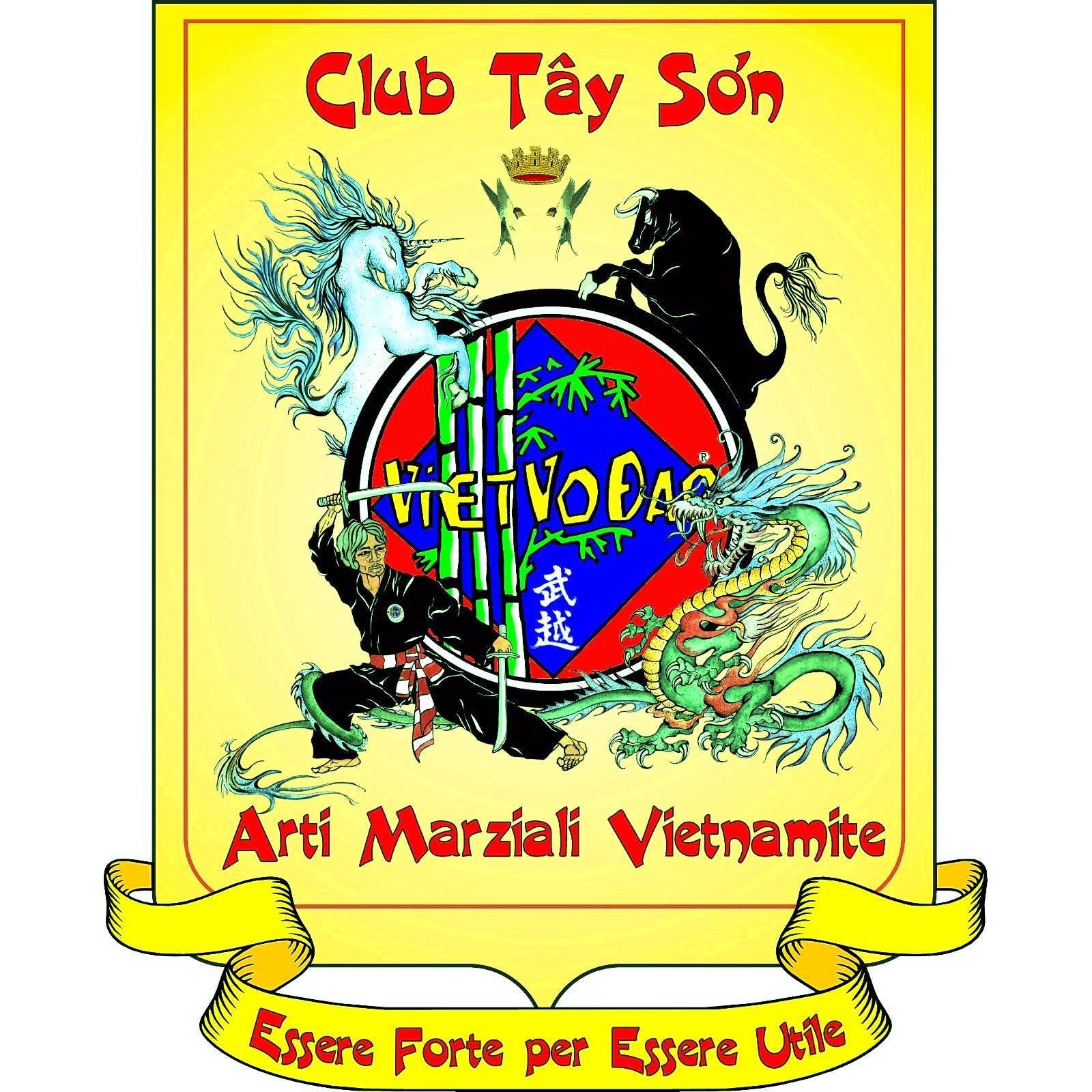 Associazione Sportiva Dilettantistica Viet Vo Dao Club Tay Son